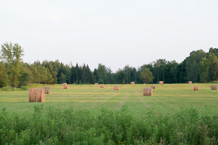 Northwoods Wisconsin Hay Field