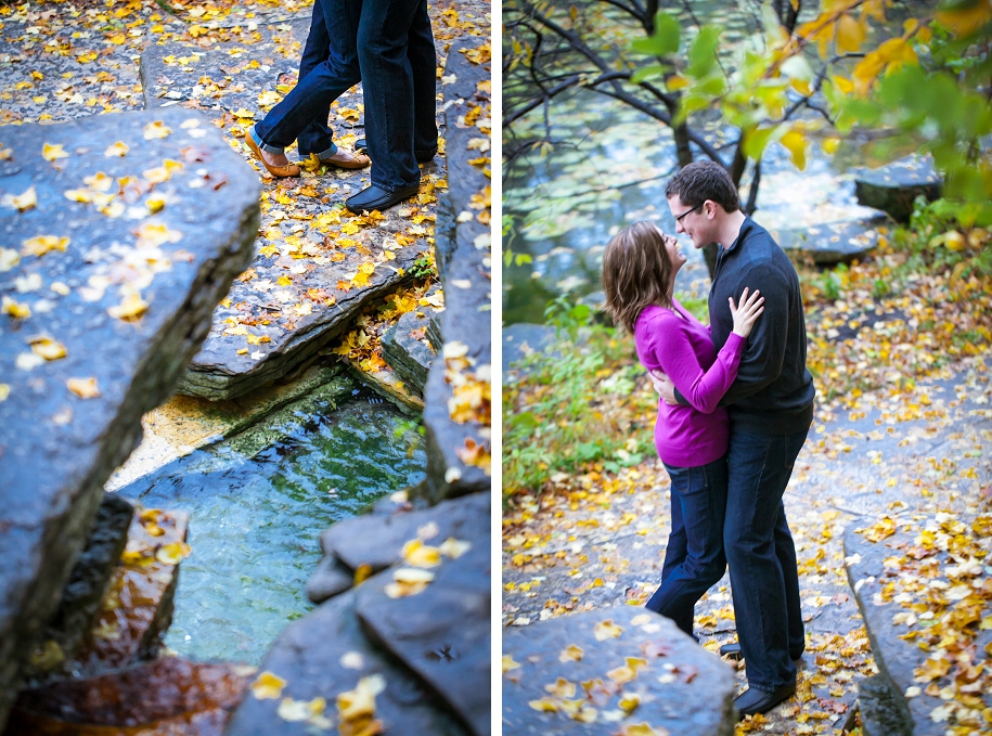 Alfred Caldwell Lily Pond Fall Engagement