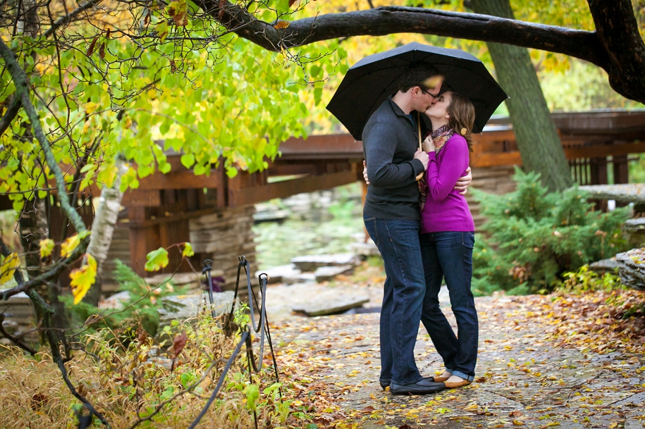 Alfred Caldwell Lily Pond Fall Engagement