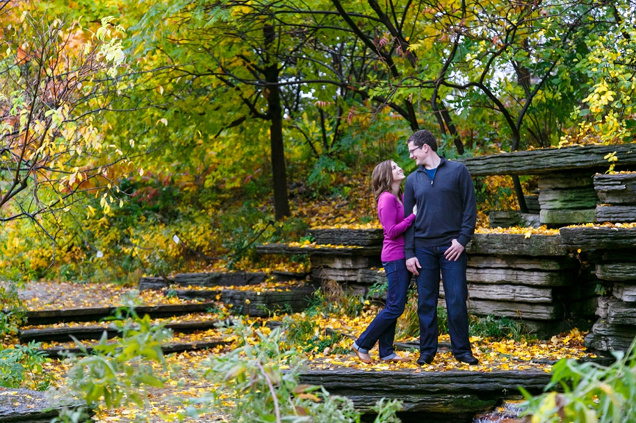 Alfred Caldwell Lily Pond Fall Engagement