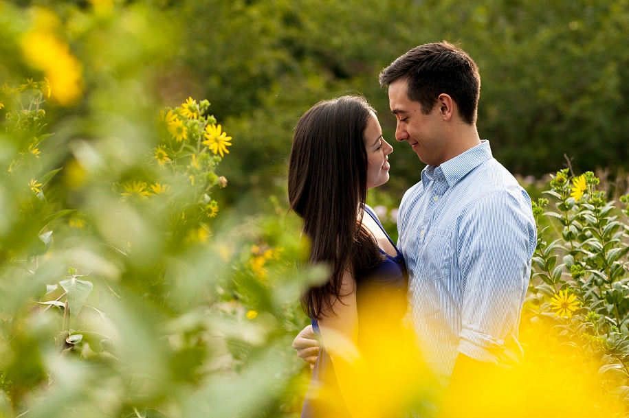 chicago wedding and engagement photographer