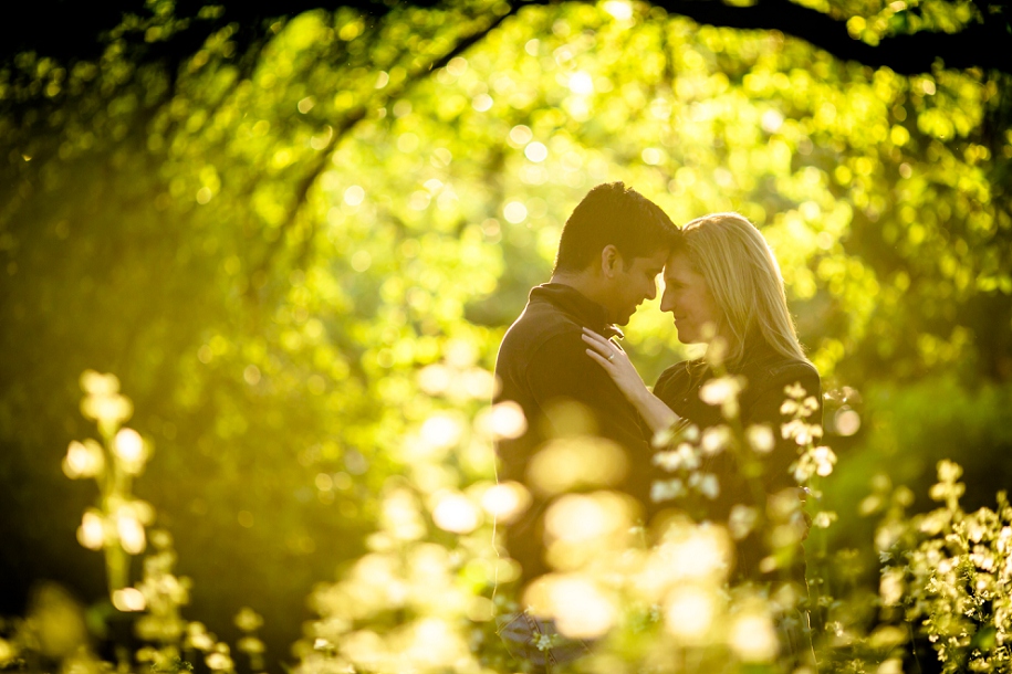 Chicago Engagement Photographer