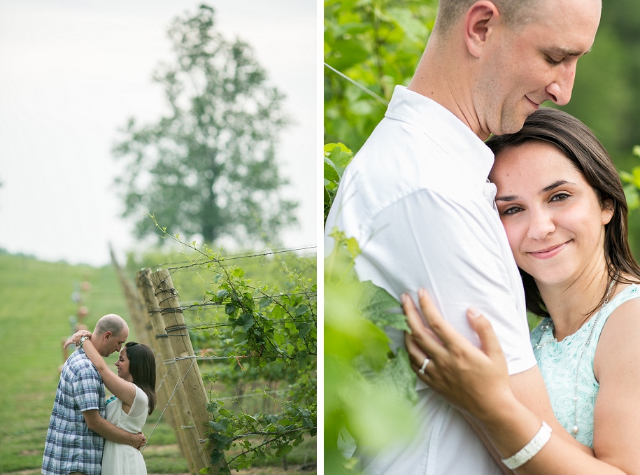 Southwest Michigan Winery Engagement