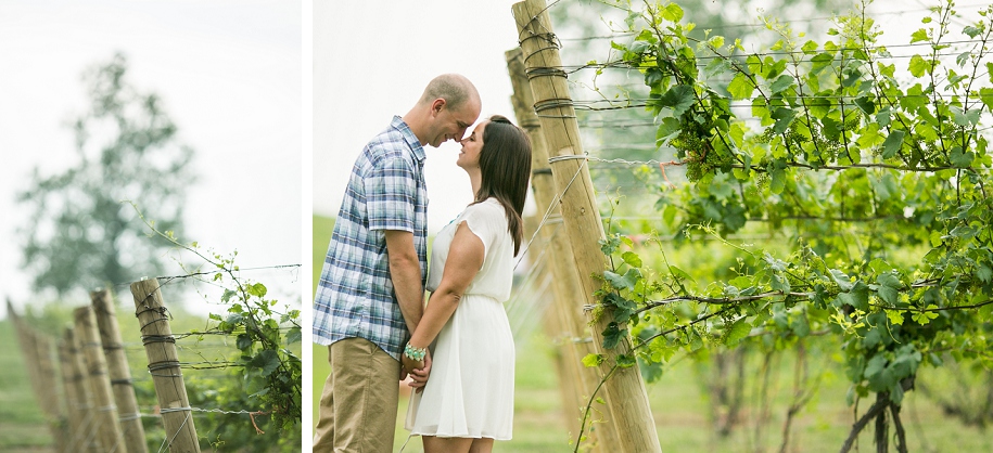 Southwest Michigan Winery Engagement