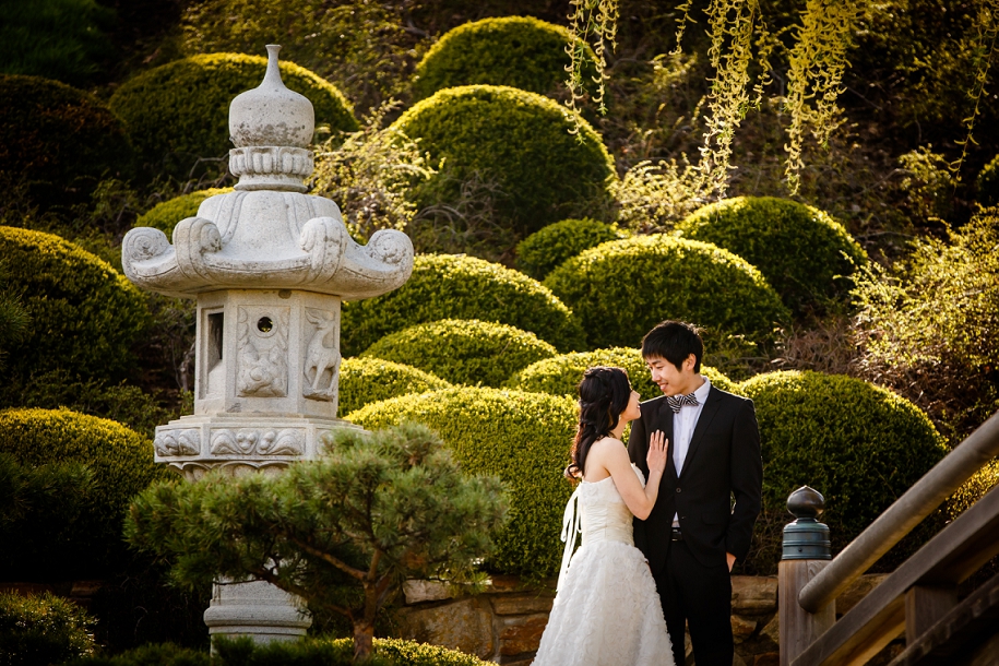 Chicago Botanic Garden Pre-Wedding Photo Session
