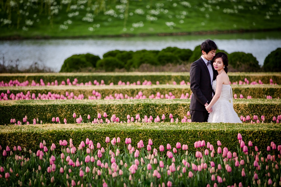 Chicago Botanic Garden Pre-Wedding Photo Session