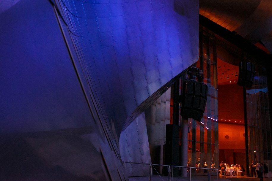 Pritzker Pavilion Millennium Park Chicago Wedding Photos