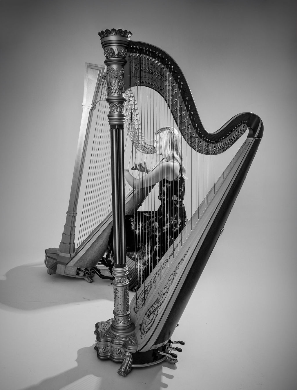 Harpist playing during a musician headshot session at Ann & Kam Photography in Barrington, IL
